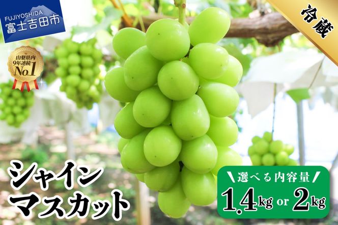 2026年発送【フルーツ王国】 山梨県産 シャインマスカット （約1.4kg / 約2.0kg）2～4房  高級 フルーツ 果物 ぶどう シャイン 2026年発送 数量限定 期間限定 山梨 富士吉田