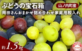 【2026年9月～発送】ぶどう ぶどうの宝石箱  岡田さんおまかせ詰め合わせ家庭用粒入れ約1.5kg 山ノ内町産 ブドウ 葡萄