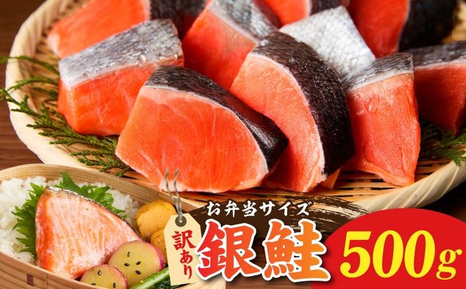 010B1932 鮭の切り身 500g（11～13切れ）【お弁当 訳アリ 不揃い 切身 サケ さけ しゃけ シャケ 魚介 海鮮 魚 さかな】