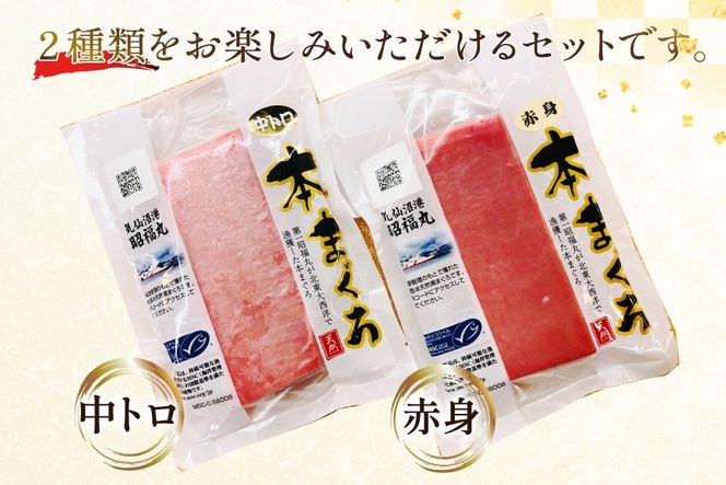 昭福丸の天然本まぐろ (中トロ･赤身) 各150g 計300g [臼福本店 宮城県 気仙沼市 20566155] 魚 鮮魚 刺身 トロ 天然本マグロ マグロ まぐろ 鮪 本まぐろ 本マグロ 本鮪 冷凍