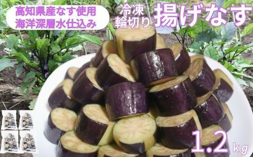 揚げナス 1.2kg【輪切り】海洋深層水仕込みのナス使用 カット済 揚げなす 野菜 やさい ナス なす 茄子 生産量日本一 高知 室戸 惣菜 便利 用途 豊富 カット野菜 調理 ハウス栽培 小分け 7000