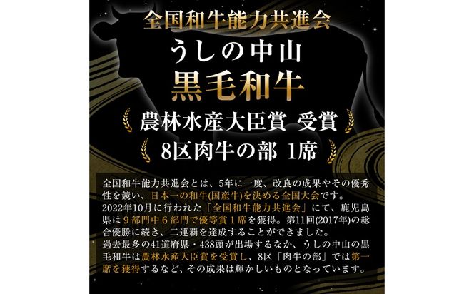 【数量限定】A4・5等級 鹿児島県産黒毛和牛うしの中山サーロインブロック1kg h5-001