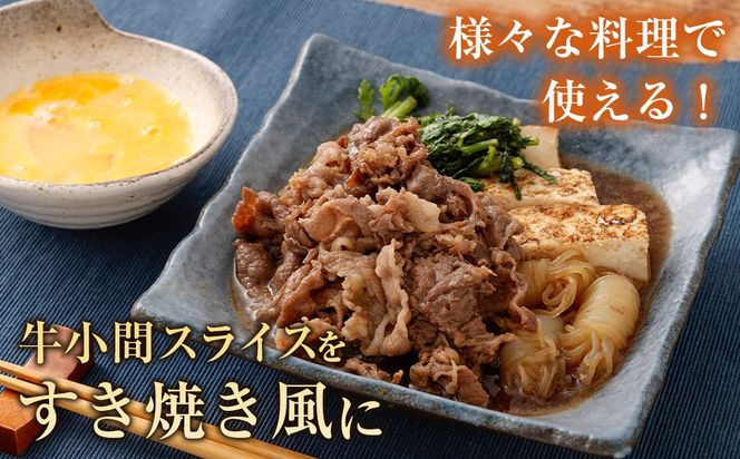 ＜宮崎ハーブ牛どんげねセット＞入金確認後、翌月末迄に順次出荷【c005_fw_x2】