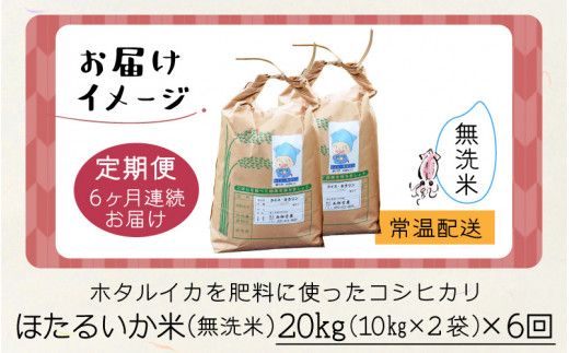 ほたるいか米（無洗米20kg）×6回 計120kg【6ヶ月定期便】