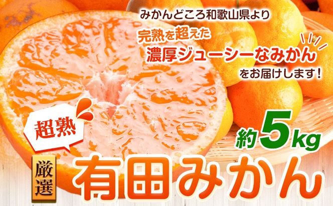 ＜先行予約＞厳選　超熟有田みかん5kg+150g（傷み補償分）【自分史上一番みかん】【光センサー選果】池田鹿蔵農園@日高町（池田農園株式会社）《11月上旬-12月末頃出荷》和歌山県 日高町【配送不可地域あり】---wsh_idn69_11j12m_24_14000_5kg---