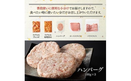 豚肉 「まるみ豚」 宮崎県産 豚肉 人気 セット 計1.1kg 国産 九州産 川南町 豚 肉 小分け 簡単調理 ウデ モモ ハンバーグ ローススライス バラスライス おかず お手軽 冷凍[D11512]