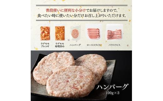 「まるみ豚」宮崎県産豚肉　人気セット　計1.1kg 【 豚肉 豚 肉 国産 川南町 ウデ モモ ハンバーグ ローススライス バラスライス 】[D11512]