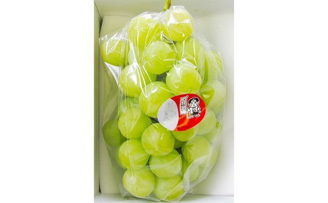 ぶどう 2026年 先行予約 特選 桃太郎 ぶどう 1房 約700g ブドウ 葡萄  岡山県産 国産 フルーツ 果物 ギフト いろは堂 