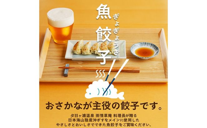 京丹後　ぎょぎょうざ　12個入（1袋あたり230g、約19g×12個入り）2袋　冷凍品／日本海山陰産の沖ギスを使用した魚餃子です・うみのうた　餃子 ぎょうざ 惣菜 おかず 京都 ふるさと納税 おつまみ　LP00005