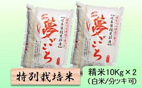 特別栽培米 【 令和8年産 】 精米 20kg（白米/5分/7分ツキ可）【 夢ごこち 】玄米は別に出品