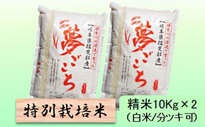 特別栽培米 【 令和8年産 】 精米 20kg（白米/5分/7分ツキ可）【 夢ごこち 】玄米は別に出品