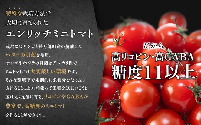 エンリッチミニトマトケチャップ　210g×3瓶【28007BA0101】