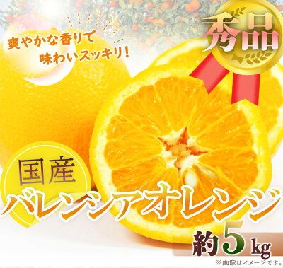 G7079_ 希少 国産 秀品 バレンシアオレンジ 5kg 果汁 豊富 糖度 高い 甘い 爽快感 香り 酸味 味わい スッキリ 栄養補給 柑橘 オレンジ 果物 フルーツ 果実 食品 食べ物 おやつ デザート お取り寄せ お取り寄せフルーツ 和歌山県 湯浅町 送料無料