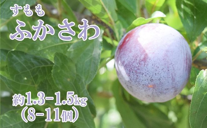 【2026年発送分】【糖度16度以上！】すもも『ふかさわ』（8〜11個入り/約1.3〜1.5kg）スモモ すもも 李 プラム フルーツ 果物 くだもの 山梨 やまなし 富士川町
