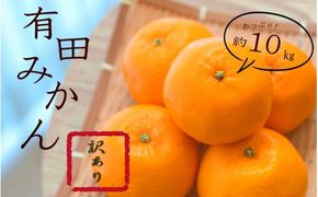 紀州 有田 みかん 10kg 訳あり キズ 家庭用 サイズ混合 ※2026年11月下旬～2027年1月中旬頃順次発送予定 ※北海道・沖縄・離島への配送不可 【sml004-c-10A】