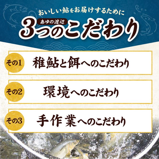 【冷凍】子持ち鮎約1.5kg N070-YB1106-2