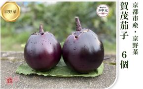 【先行予約・2026年7月発送】京ブランド野菜・賀茂茄子（かもなす） 6個 約1.5kg 261009_A-DA002