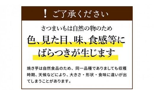 【 塚田商店 】 訳あり 茨城県産 紅はるか 焼いも ( 冷凍 ) Sサイズ 1kg (500g × 2袋 ) さつまいも サツマイモ いも 芋 イモ 規格外 不揃い [BD010ci]