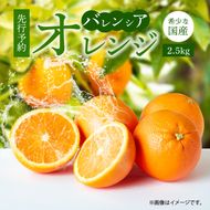 G7078_希少な 国産 バレンシアオレンジ 2.5kg 秀品