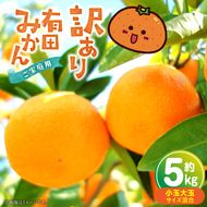 有田みかん 【訳あり 家庭用】約5kg（小玉大玉混合）_ZP6112