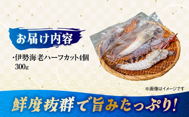 伊勢海老ハーフカット IKTJ027