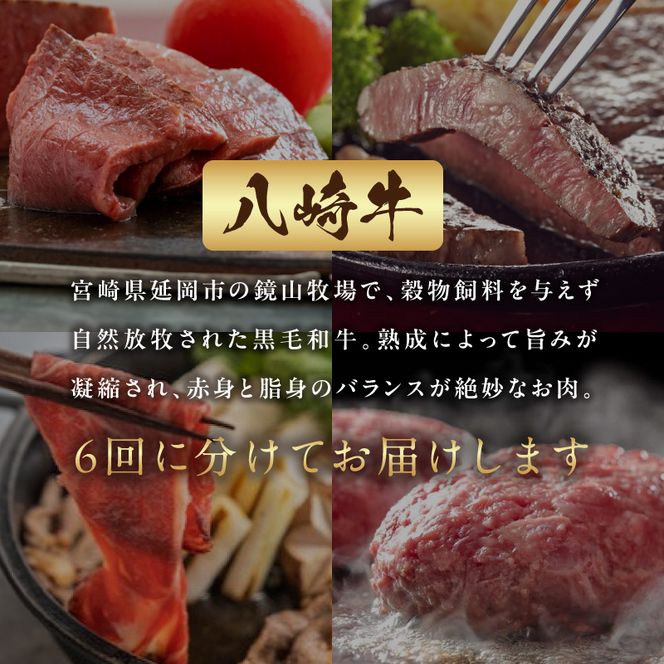 肉の彩り6ヶ月定期便 N0105-YF103