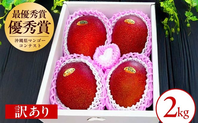 【2027年発送 先行予約】【訳あり】仲村農園の完熟アップルマンゴー 2kg マンゴー 沖縄 果物 フルーツ ギフト 沖縄市 / 仲村農園[BCCU003]