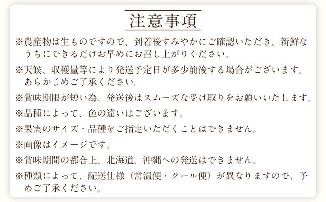 定期便全3回 【7月・8月・9月発送】 和歌山の夏のフルーツをお届け（桃・梨・シャインマスカット） ［TM224］ 303446_XH92275