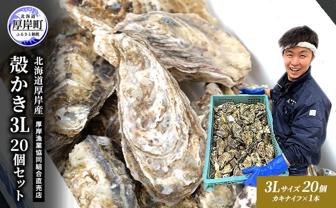 牡蠣 殻付き 生食 3L20個 北海道 厚岸産 マルえもん【厚岸漁業協同組合】カキナイフ付 [ カキ かき 生牡蠣 殻かき オイスター 冷蔵 ］