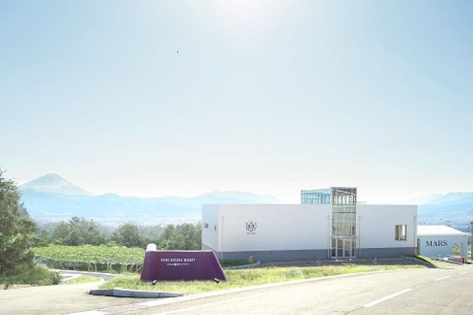 ワイン ソムリエセレクト 赤ワイン 4本 セット [本坊酒造 マルス穂坂ワイナリー 山梨県 韮崎市 20743505] 果実酒 ワインセット赤 飲み比べ シャトーマルス ソムリエ 山梨 