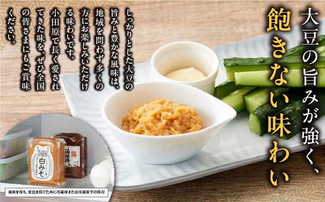 いいちみそ 6種セット（計6kg)【みそ 味噌 ミソ 白みそ 糀こし 糀つぶ 赤みそ 贈答品 合わせ 箱根路 贈り物 大容量 神奈川県 小田原市 】 142069_AL001