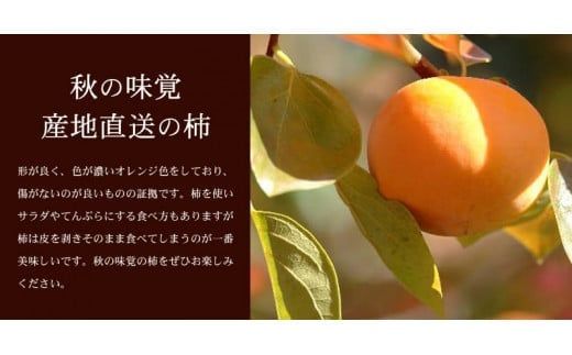 和歌山の 種なし 柿 約7.5kg【秀品：サイズ・品種おまかせ】和歌山県産/紀伊国屋文左衛門本舗　※2025年9月下旬～2025年11月下旬頃に順次発送予定(お届け日指定不可)【sgtb801B】