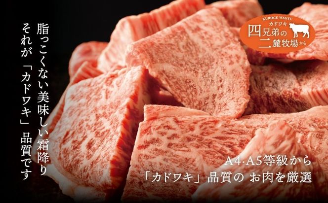 A4･A5「二麓（にろく）霜降り」黒毛和牛（大判）ひとくちステーキ 500g（250g×2） ニセコ連峰と鈴鹿山脈、二つの麓（ふもと）で育てた脂の質にこだわった美味しい霜降りをリーズナブルに│牛肉 国産牛 ブランド牛 冷凍便 年末年始 お正月 焼肉 BBQ 三重県 四日市市 ふるさと納税