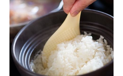 【3ヶ月定期便】【令和7年産】宮崎県産こしひかり「シタギリ米」5kg 【 お米 新米 定期便 全3回 】☆[C04201t3]