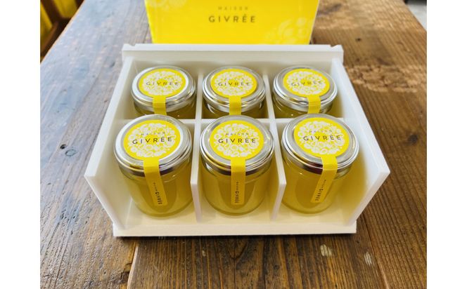 湘南ゴールドゼリー6個セット 142069_HY005