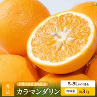 【2027年先行予約】和歌山県産 カラマンダリン 約3kg 秀品_ZE6500