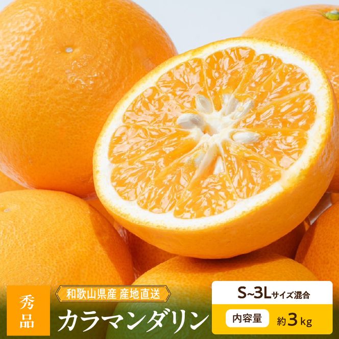 【2027年先行予約】和歌山県産 カラマンダリン 約3kg 秀品_ZE6500