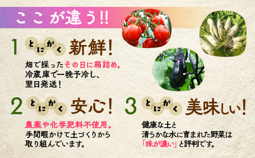 【12回定期便】 ＜アスカ有機農園＞旬の京野菜セットS＊毎月お届け全12回