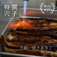 穴子 焼き穴子 240g 蒲焼き 小分け 真空パック 厳選 特選 不揃い 小ぶり 魚貝類 魚介類 おかず 和食 魚料理 青島 冷蔵 冷蔵配送 岡山 岡山県 瀬戸内市