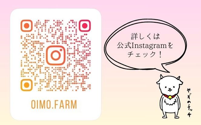 【 数量限定 】干しいも 1kg (500g×2パック) 茨城県産 紅はるか 大洗産 さつまいも 無添加 無着色 国産 デザート スイーツ 干し芋 ほしいも さつまい芋 和スイーツ