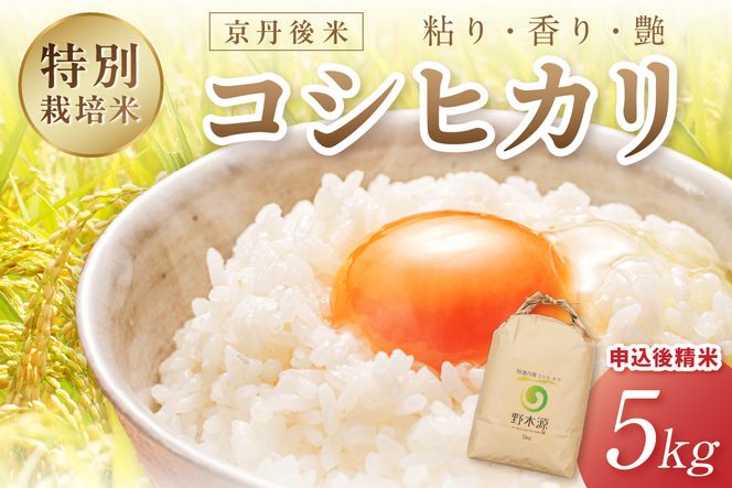 2026年産 京丹後米 特別栽培米コシヒカリ 5kg（白米）　注文後精米　米 京丹後 特別栽培米 5キロ 農家直送 米 こめ ふるさと 納税 コシヒカリ 精米 ふるさと 納税 こしひかり ふるさと 納税 米 精米 京都産 京丹後 野木源 送料無料　NO00033