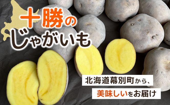 先行予約/2026年秋発送 北海道 十勝 幕別産 じゃがいも インカのめざめ 約5kg【横山農園】  野菜 根菜 フライドポテト ポテトチップス 変色しにくい 煮崩れしにくい 黄金色 北海道のジャガイモ 