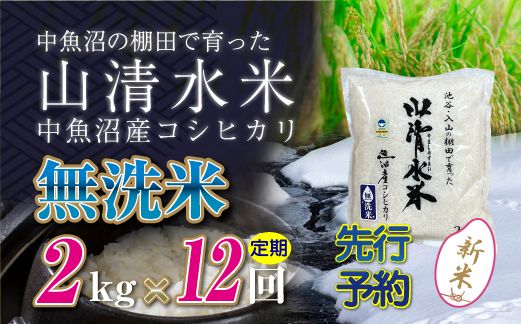 【令和8年産 先行予約】【定期便／全12回】無洗米2kg 新潟県魚沼産コシヒカリ「山清水米」