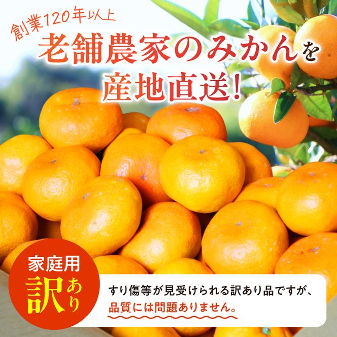 《2026年11月下旬頃～2027年1月下旬頃に順次発送予定》【2026年先行予約】【ご家庭用訳アリ】紀州有田産濃厚甘熟温州みかん 約2kg_G7325