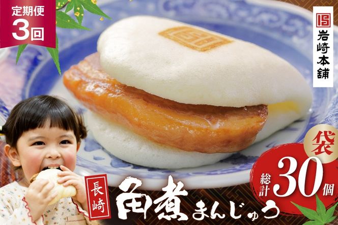 BJ011 岩崎本舗 【3回定期便】長崎角煮まんじゅう 10個入 (袋) [長崎県 島原市]