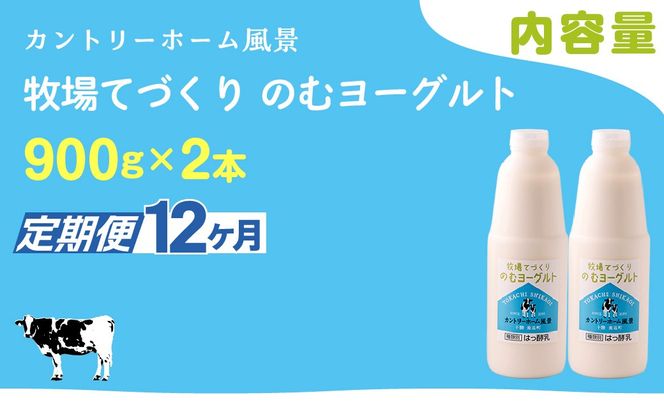 【定期12ヶ月】のむヨーグルト 900g ×2 SKB034