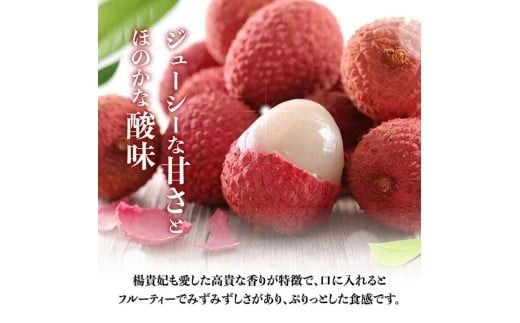 【令和8年産】川南町産ライチ（大粒）10粒(5粒×2パック) 【 国産ライチ フルーツ デザート 宮崎県産 】 [C03203]