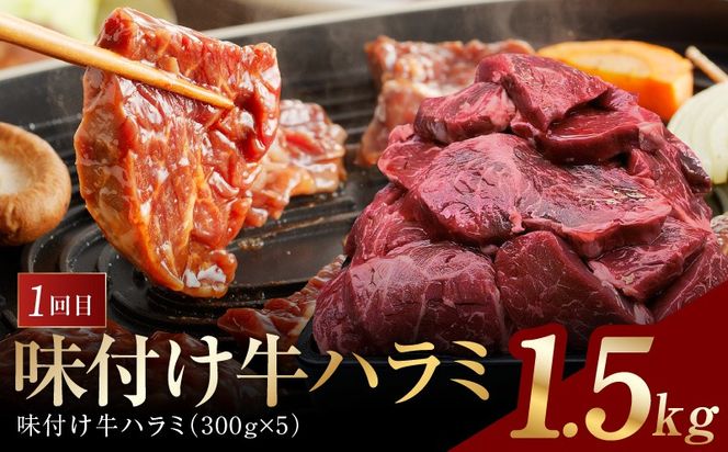 099Z129 アキラ商店 肉三昧 プレミアム 定期便 全6回【毎月配送コース お楽しみ 焼肉 ていきびん 焼くだけ 小分け BBQ やきにく 数量限定】