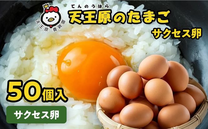 【天王原のたまご】サクセス卵50個入り