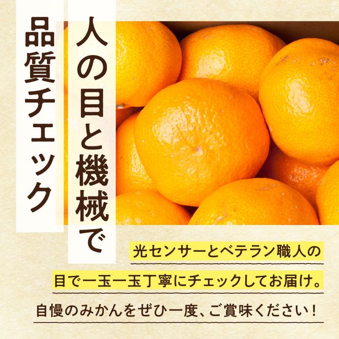 《2026年11月上旬～2027年1月下旬頃順次発送》【2026年先行予約】家庭用 大きな有田みかん約7.5kg+250g（傷み補償分）【わけあり・訳あり】【光センサー選果】_ZH7118